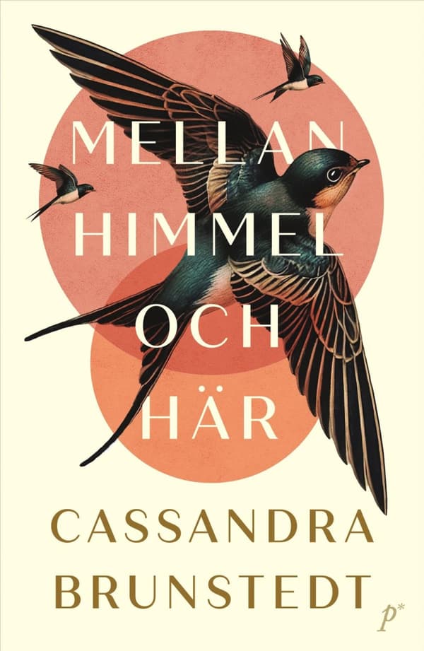 Mellan Himmel Och Här (Bok)