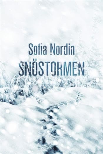 Snöstormen (Bok)