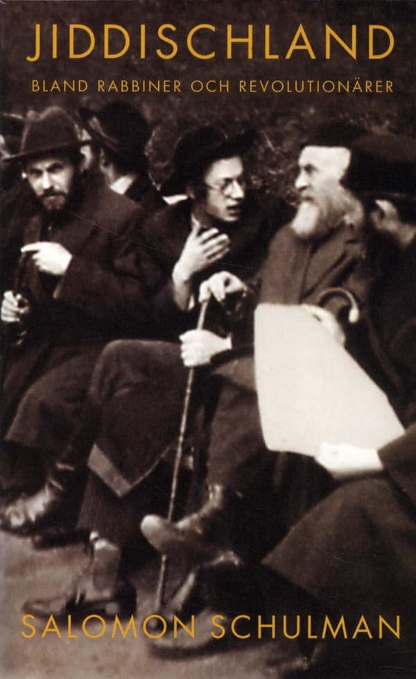 Jiddischland - Bland Rabbiner Och Revolutionärer (Bok)