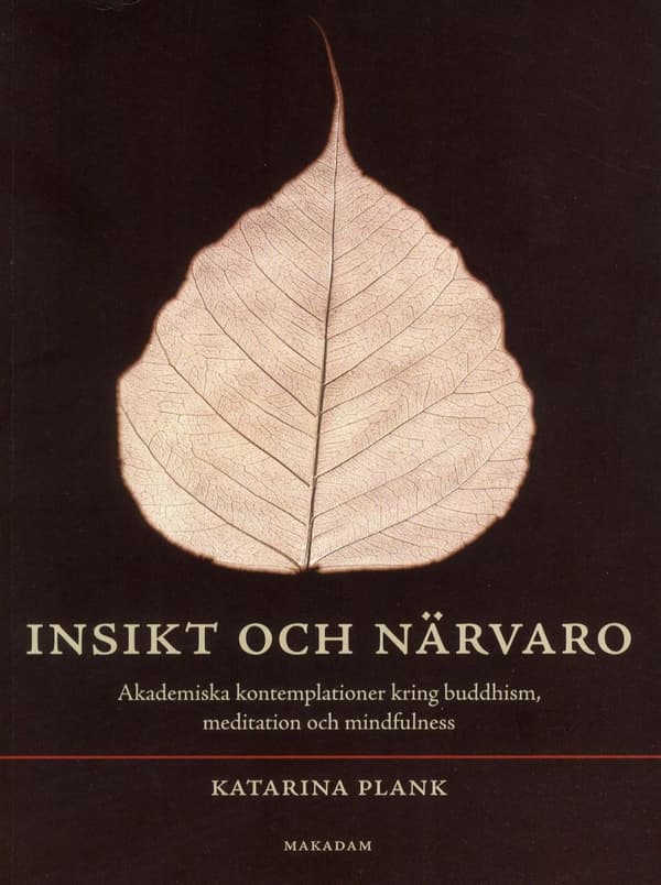Insikt Och Närvaro - Akademiska Kontemplationer Kring Buddhism, Meditation Och Mindfulness (Bok)