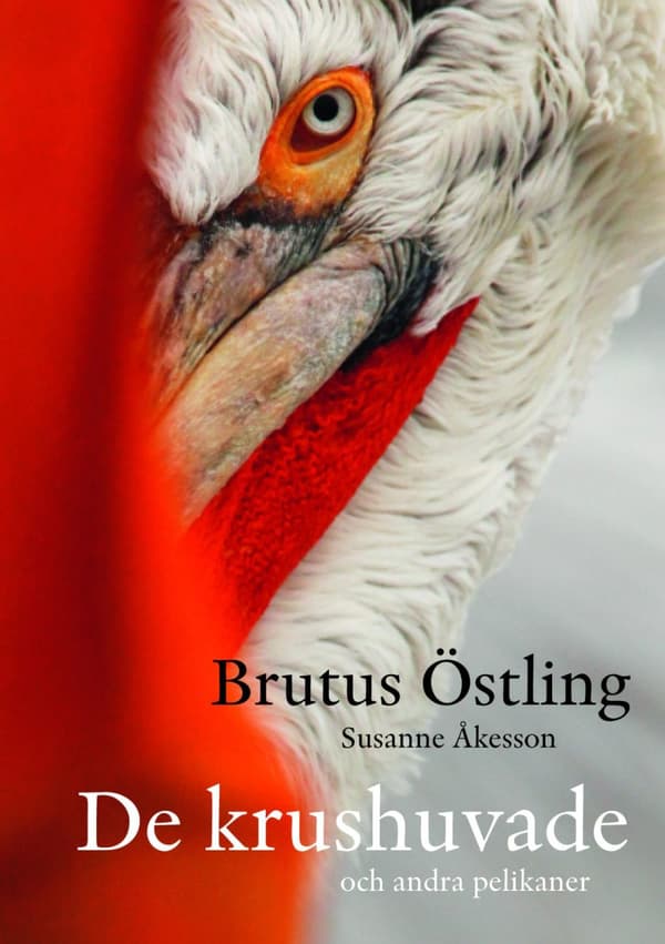 De Krushuvade - Och Andra Pelikaner (Bok)