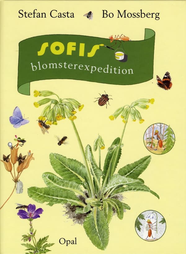 Sofis Blomsterexpedition (Bok)