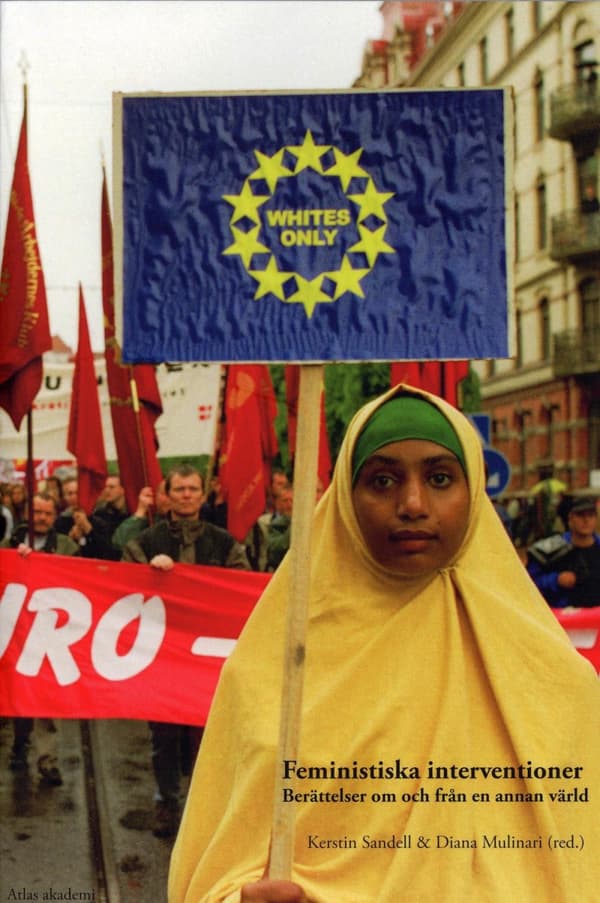 Feministiska Interventioner - Berättelser Om Och Från En Annan Värld (Bok)