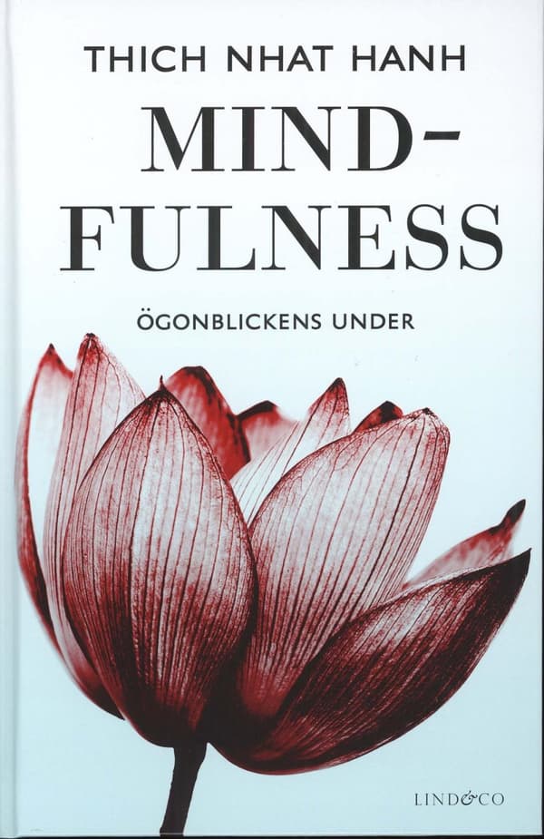 Mindfulness - Ögonblickens Under (Bok)