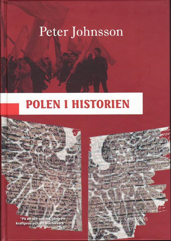 Polen I Historien (Bok)