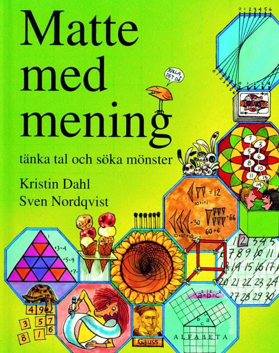 Matte Med Mening (Bok)