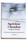 Sprickor I Fasaden - Manligheter I Förändring - En Antologi (Bok)