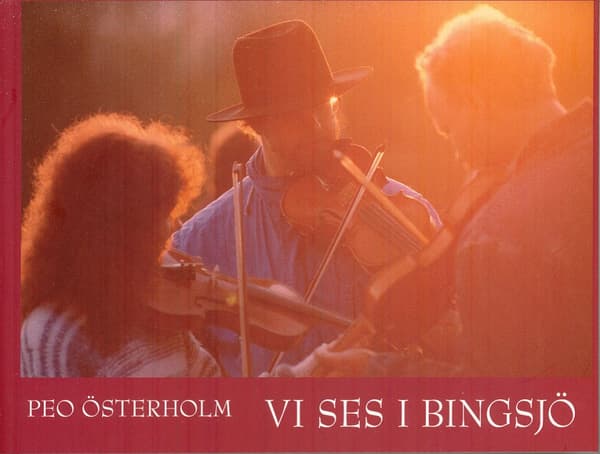 Vi Ses I Bingsjö? (Bok)