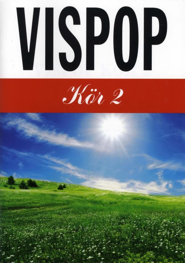Vispop Kör 2 (Bok)