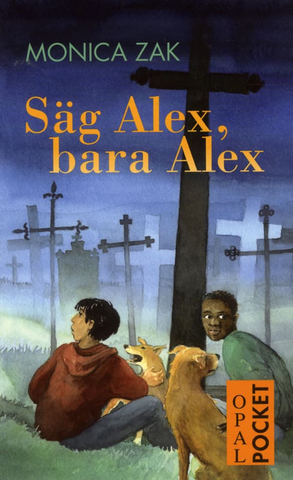 Säg Alex, Bara Alex (Bok)