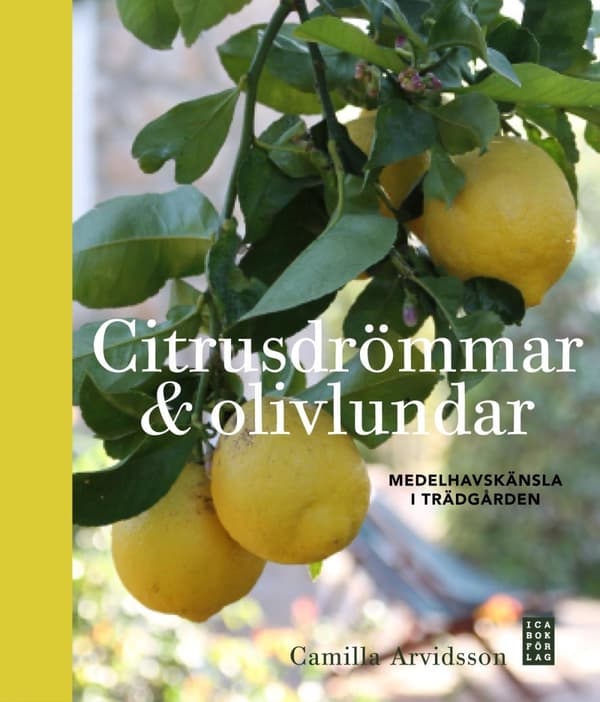 Citrusdrömmar & Olivlundar - Medelhavskänsla I Trädgården (Bok)
