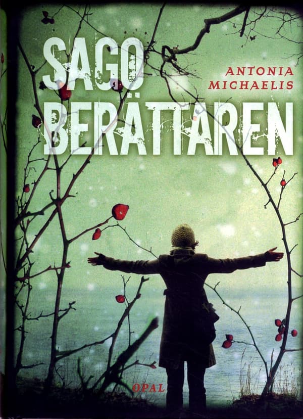 Sagoberättaren (Bok)