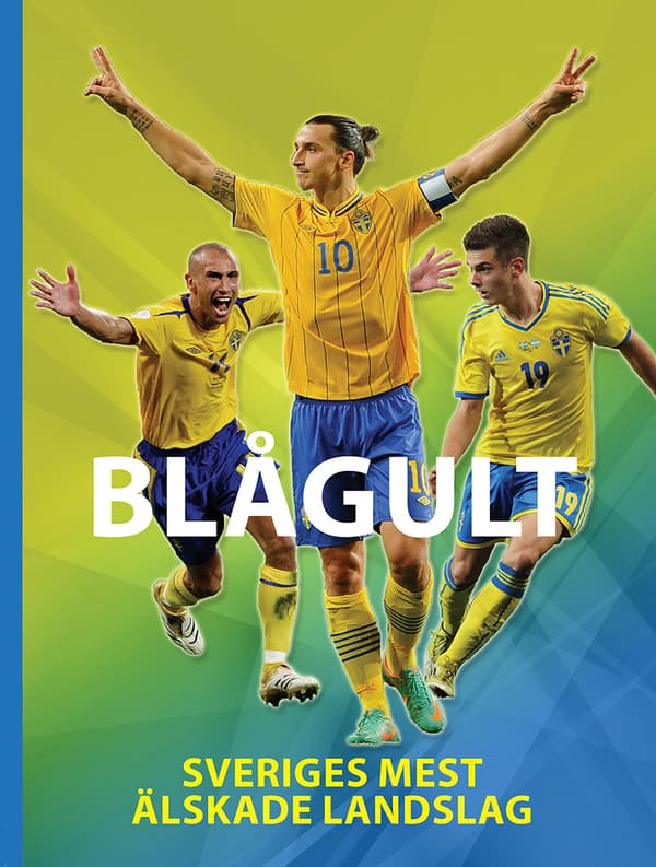 Blågult - Sveriges Mest Älskade Landslag (Bok)