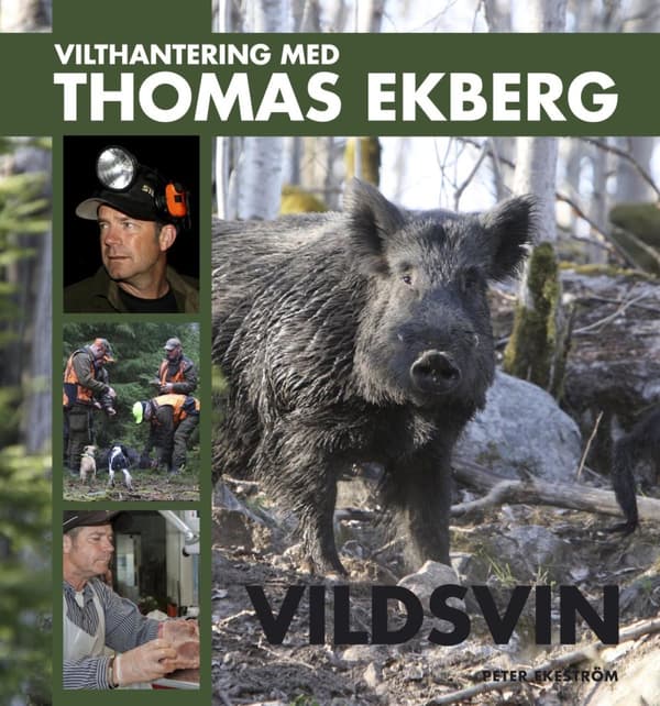 Vilthantering Med Thomas Ekberg - Vildsvin (Bok)
