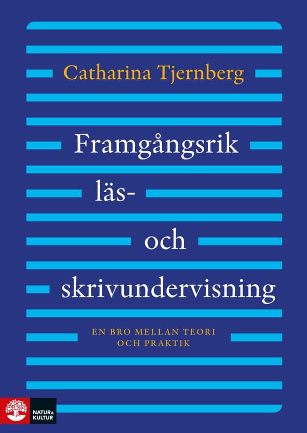 Framgångsrik Läs- Och Skrivundervisning - En Bro Mellan Teori Och Praktik (Bok)