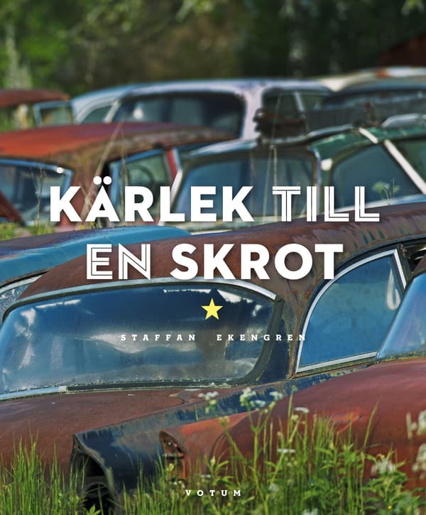 Kärlek Till En Skrot (Bok)