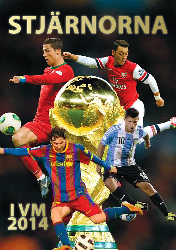 Stjärnorna I Vm 2014 (Bok)