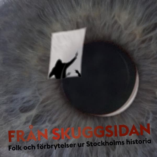 Från Skuggsidan - Folk Och Förbrytelser Ur Stockholms Historia (Bok)