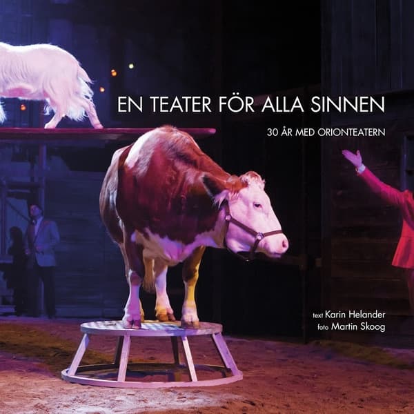 En Teater För Alla Sinnen - 30 År Med Orionteatern (Bok)