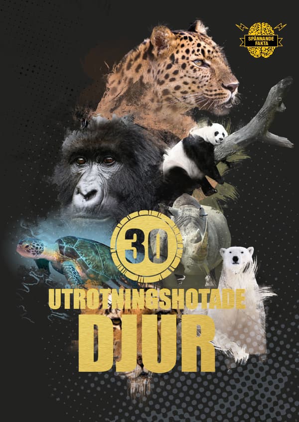 30 Utrotningshotade Djur (Bok)