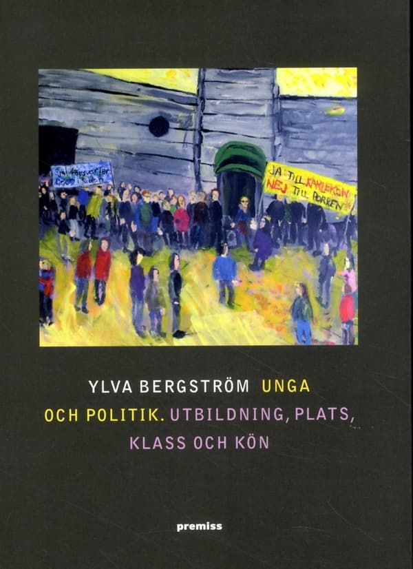 Unga Och Politik - Utbildning, Plats, Klass Och Kön (Bok)
