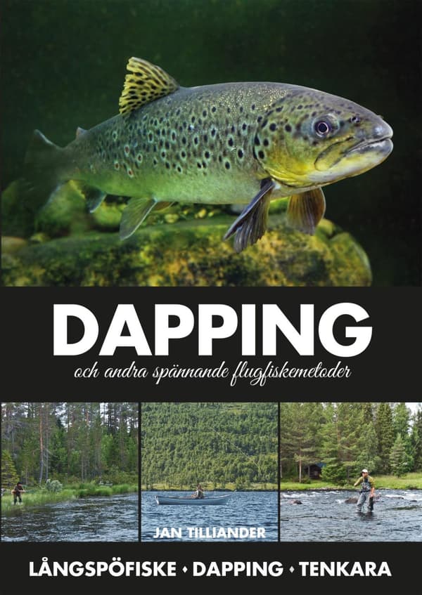 Dapping Och Andra Spännande Flugfiskemetoder (Bok)