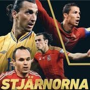 Stjärnorna I Em 2016 (Bok)