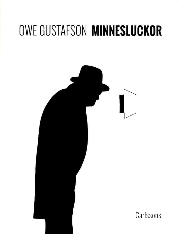 Minnesluckor (Bok)