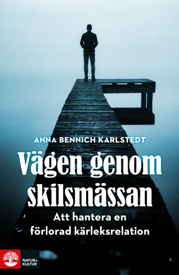 Vägen Genom Skilsmässan - Att Hantera En Förlorad Kärleksrelation (Bok)