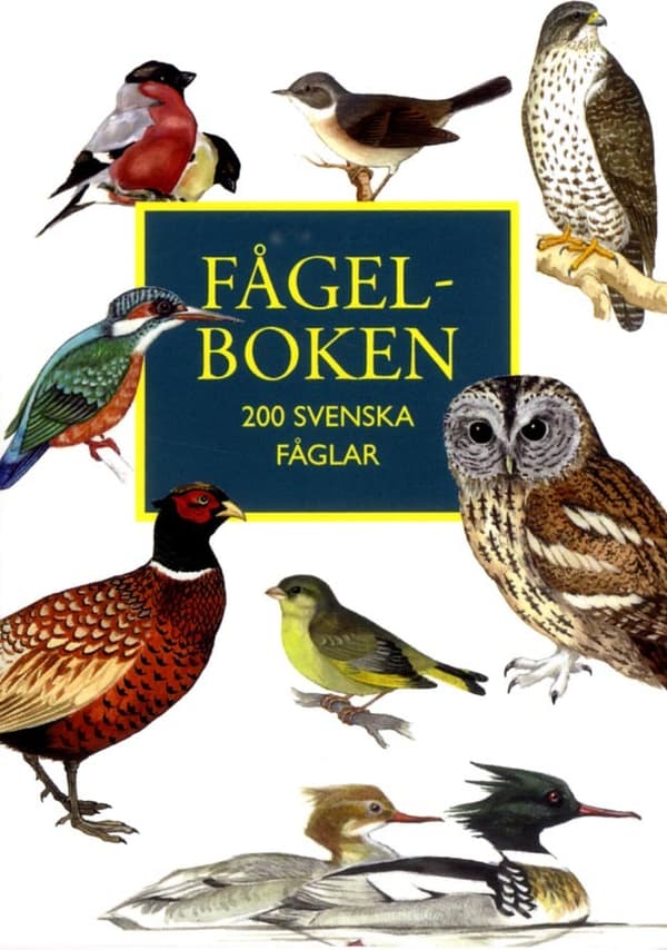 Fågelboken - 200 Svenska Fåglar (Bok)