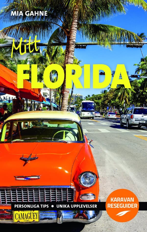 Mitt Florida (Bok)