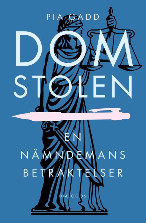 Domstolen - En Nämndemans Betraktelser (Bok)