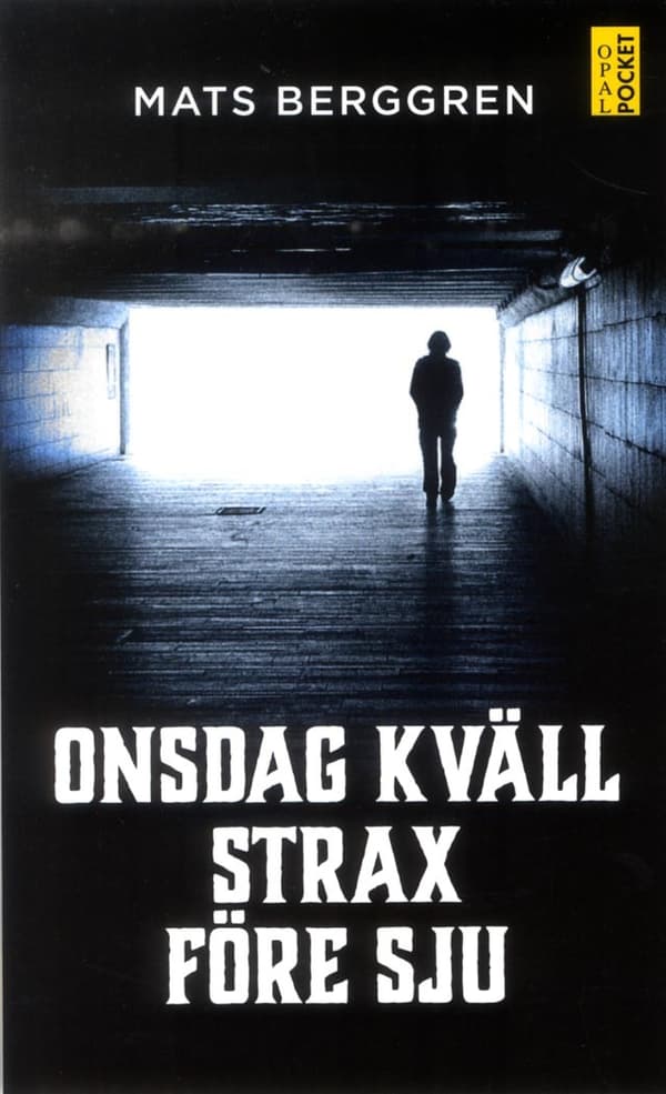 Onsdag Kväll Strax Före Sju (Bok)