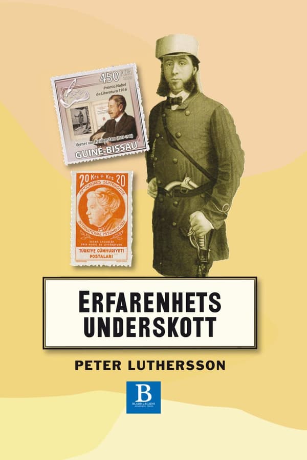 Erfarenhetsunderskott - Noteringar Om Svensk 1800-talslitteratur (Bok)