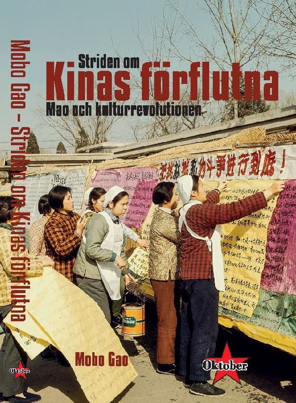 Striden Om Kinas Förflutna (Bok)