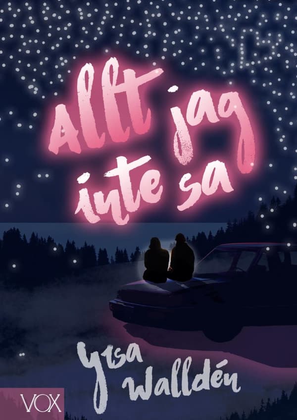 Allt Jag Inte Sa (Bok)
