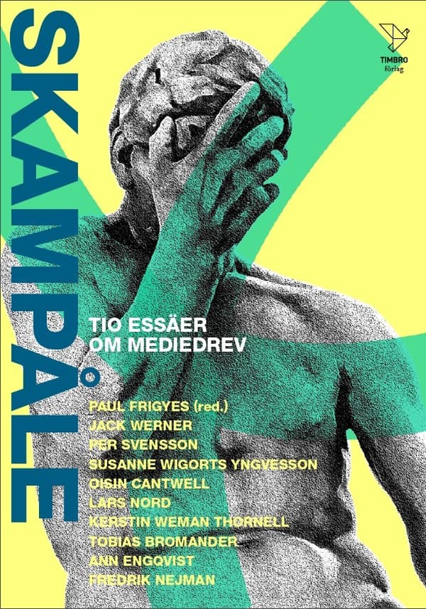 Skampåle - Tio Essäer Om Mediedrev (Bok)