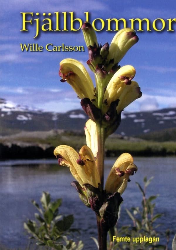 Fjällblommor (Bok)