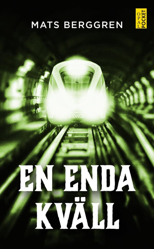 En Enda Kväll (Bok)