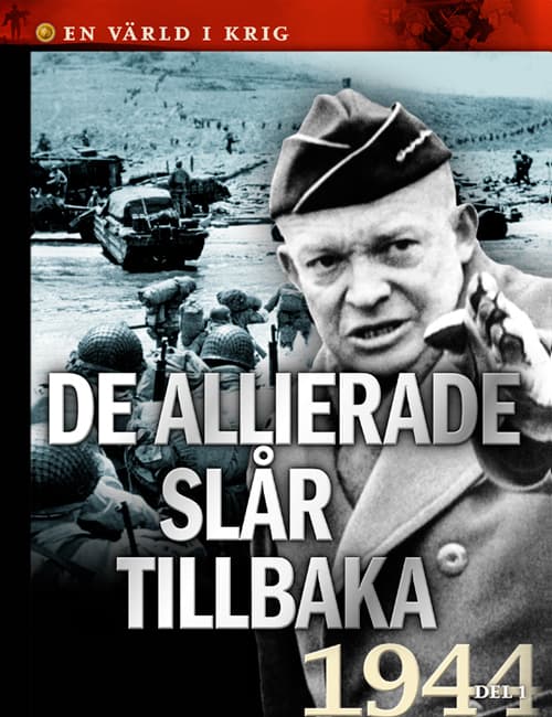 De Allierade Slår Tillbaka (Bok)