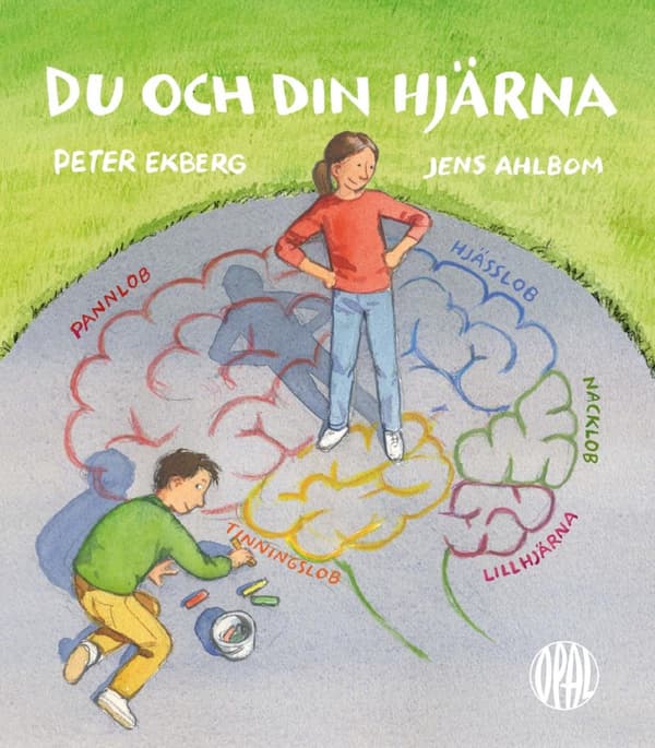 Du Och Din Hjärna (Bok)