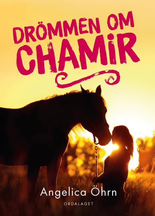 Drömmen Om Chamir (Bok)