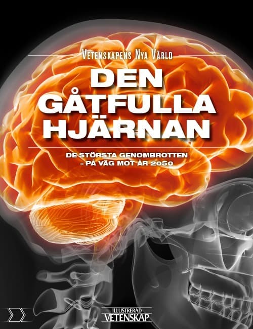 Den Gåtfulla Hjärnan (Bok)