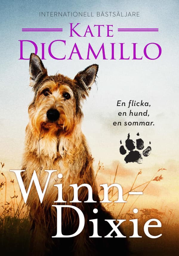 Winn-dixie (Bok)