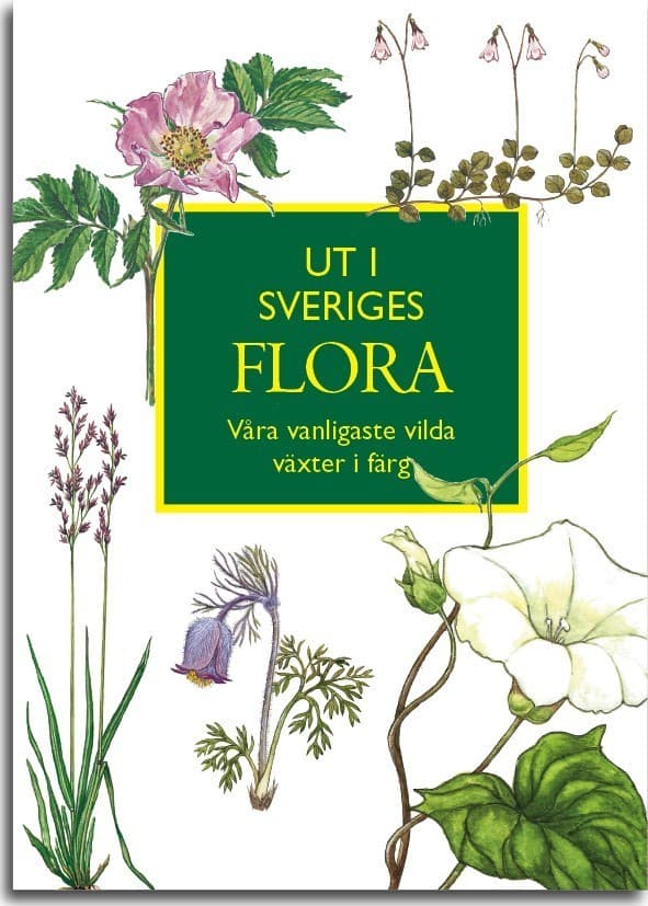 Ut I Sveriges Flora- Våra Vanligaste Vilda Växter I Färg (Bok)
