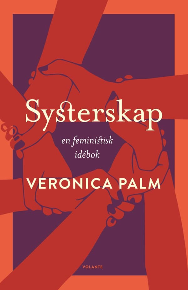 Systerskap - En Feministisk Idébok (Bok)