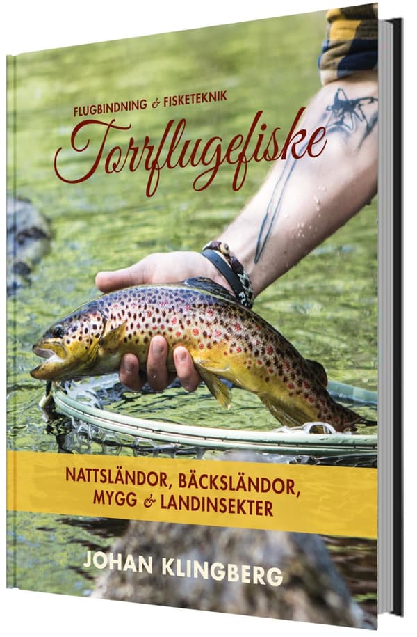 Torrflugefiske- Nattsländor, Bäcksländor, Mygg Och Landinsekter (Bok)