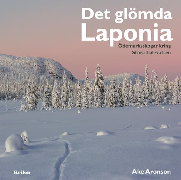 Det Glömda Laponia - Ödemarksskogar Kring Stora Lulevatten (Bok)