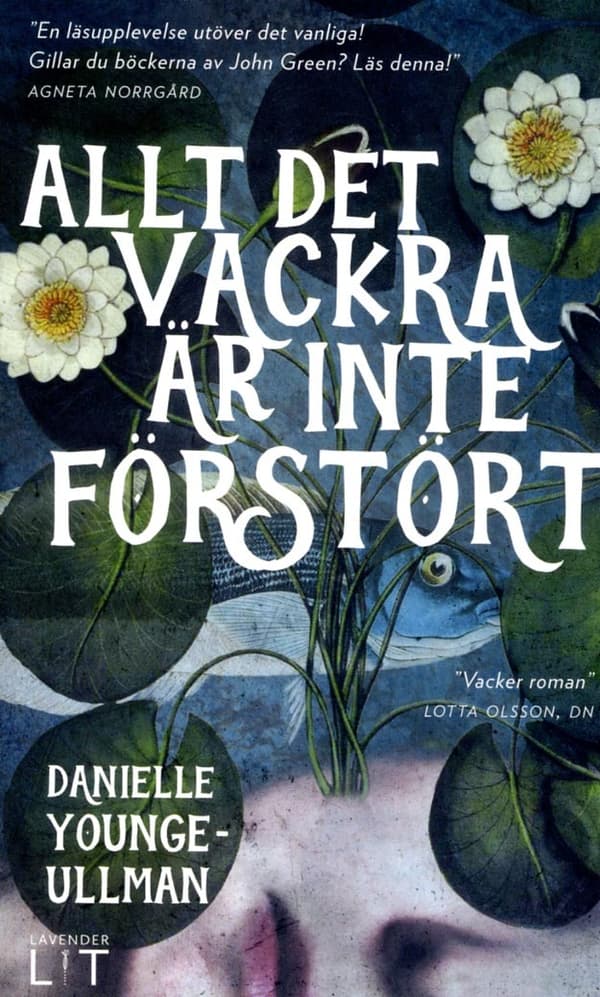 Allt Det Vackra Är Inte Förstört (Bok)