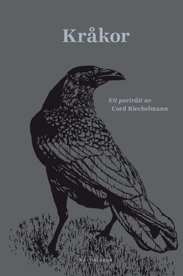Kråkor - Ett Porträtt Av Cord Riechelmann (Bok)